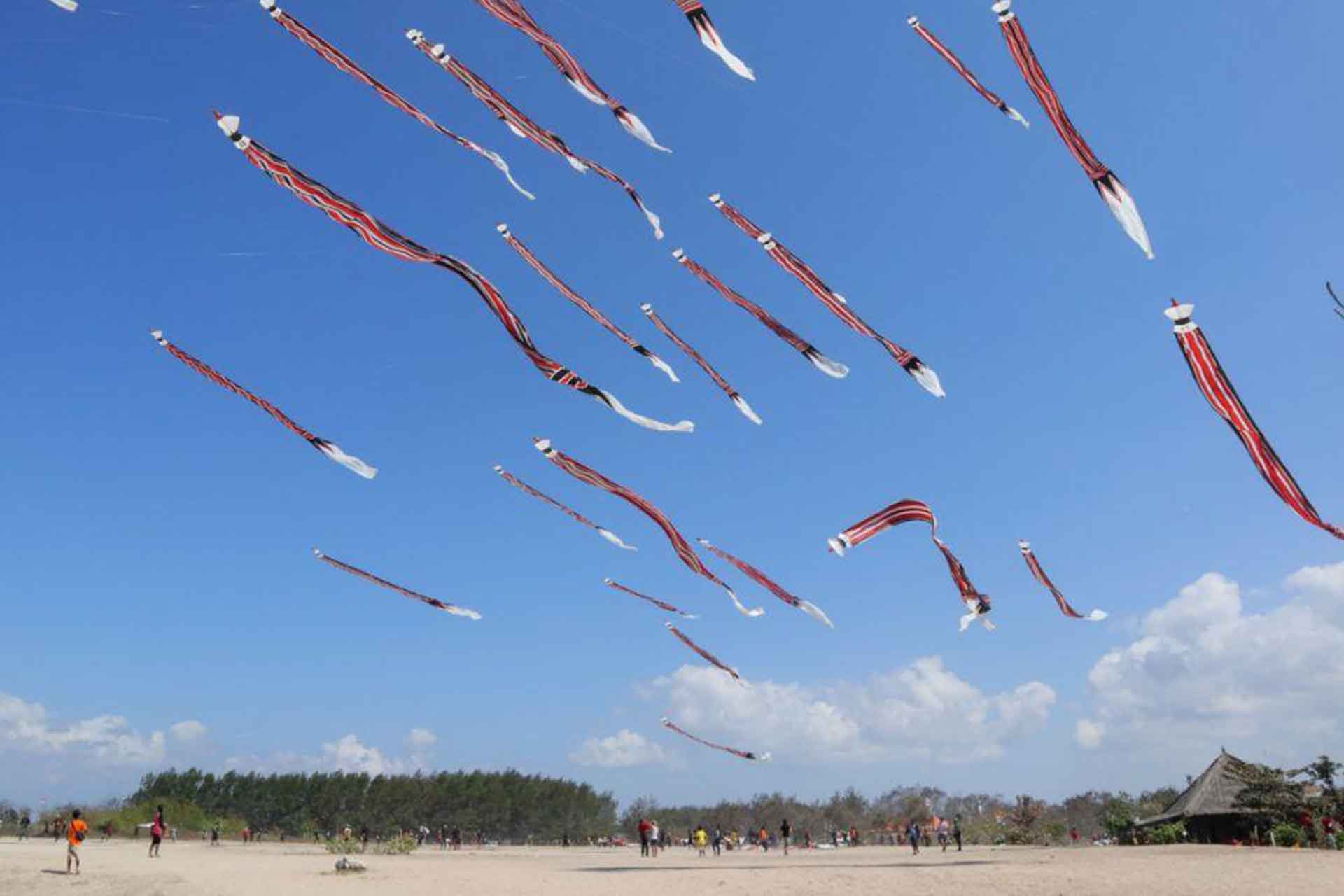 Gianyar Kite Festival 2025